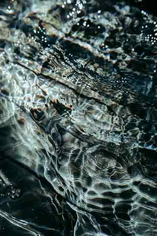 image of water